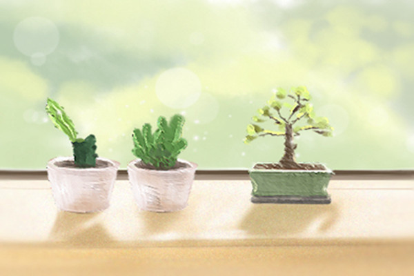 家居风水只看三处，直接影响整个家！