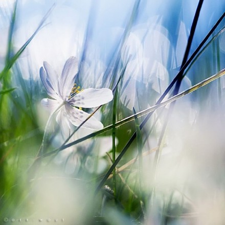 宿命与造命？我们的人生应该怎样去书写？