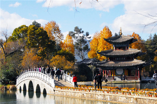 科学家在人体内发现“道德分子”