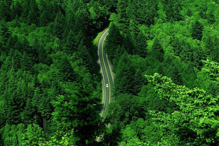 周易五行养生堂全部秘方大全饮食疗法之益肝养血明目的药膳