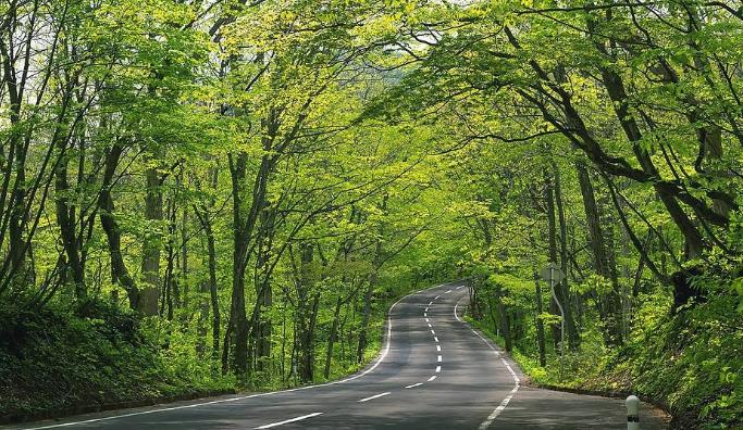 周易五行养生堂全部秘方大全饮食疗法之益气血养五脏的药膳