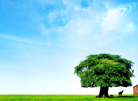 在价值观多元化的社会中怎么才能创造美好的未来？