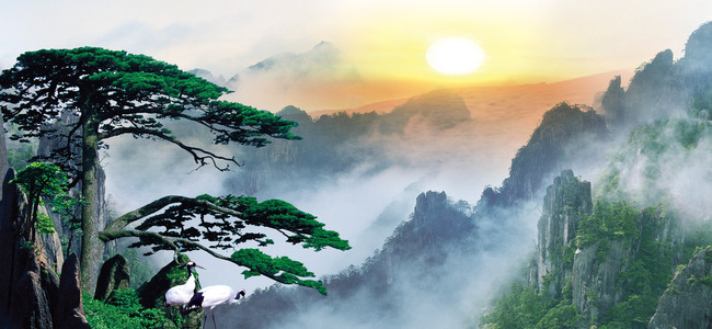 周易五行养生堂全部秘方大全饮食疗法之齐鲁药膳楼的传统药膳