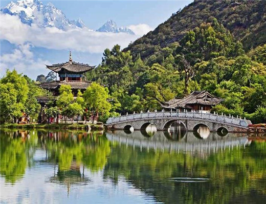 周易五行养生堂全部秘方大全饮食疗法之治疗支气管炎的药膳