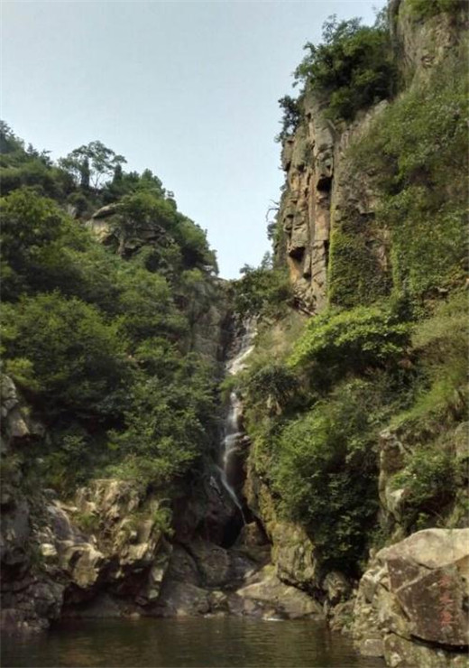 周易五行养生堂全部秘方大全饮食疗法之治疗支气管哮喘肺炎的药膳