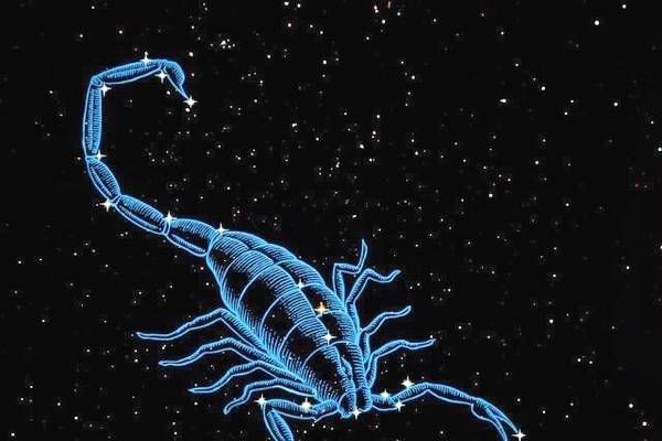 天蝎座：哪个星座是天蝎座的劫