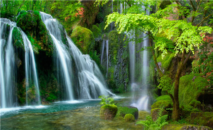 周易五行养生堂全部秘方大全饮食疗法之治疗急、慢性肠炎的药膳