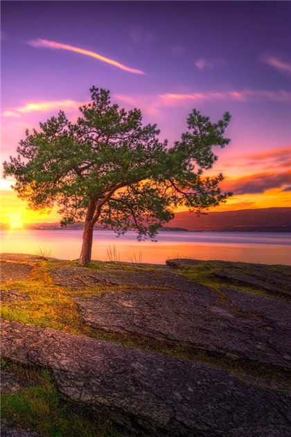 治疗充血性心力衰竭的药膳-周易五行养生堂全部秘方饮食疗法大全