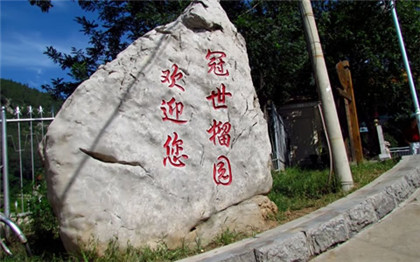 治疗慢性低血压的药膳-周易五行养生堂全部秘方饮食疗法大全