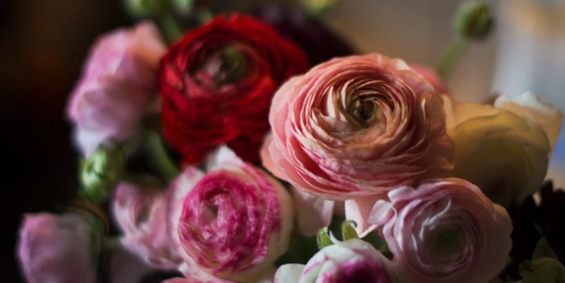 治疗泌尿系感染和前列腺肥大的药膳-周易五行养生堂全部秘方饮食疗法大全