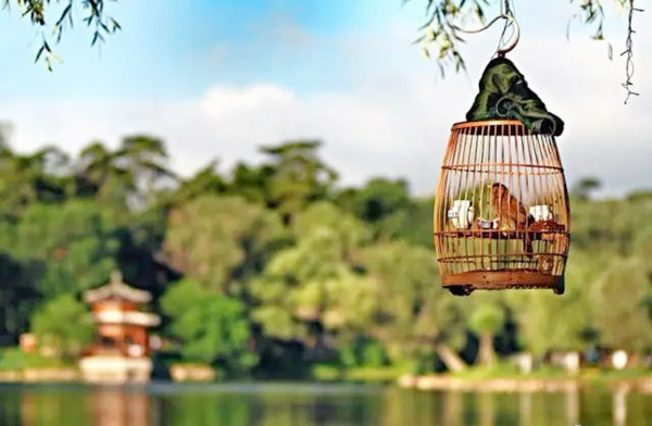 家居住宅：其房屋风水气息方面