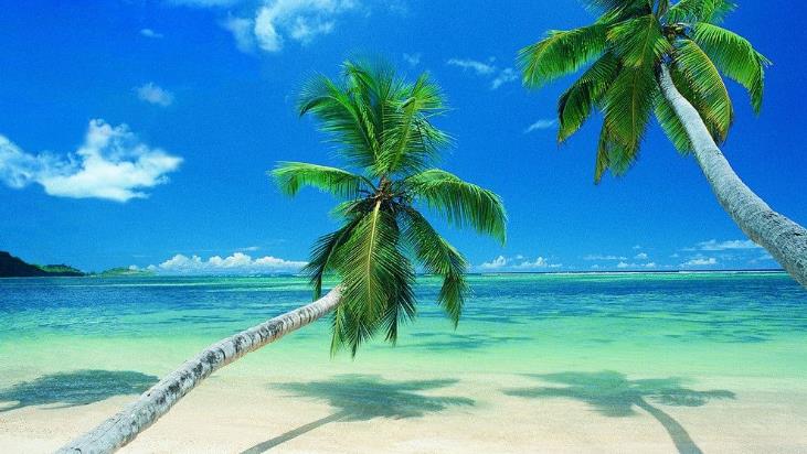 治疗遗精的药膳-周易五行养生堂全部秘方饮食疗法大全