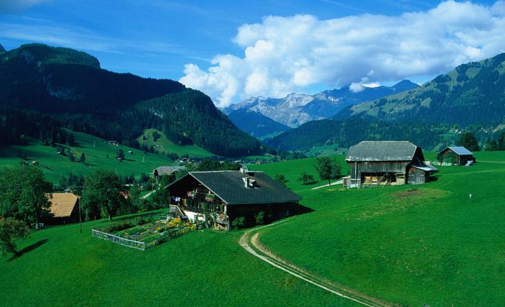 治疗贫血的药膳-周易五行养生堂全部秘方饮食疗法大全