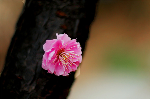 早晨健康养生小常识－长寿的秘诀