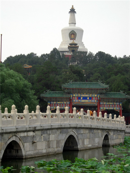 治疗百日咳的药膳-周易五行养生堂全部秘方饮食养生疗法大全