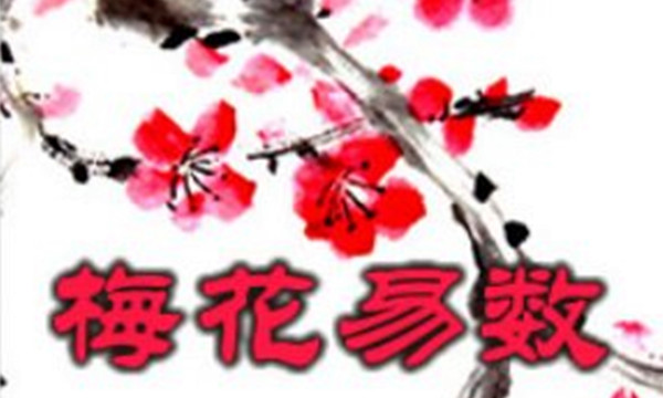 梅花易数应期与藏支