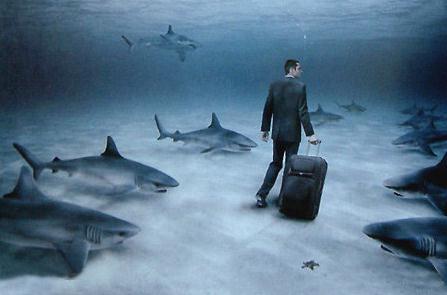 家庭破裂情变婚变让人变得越来越迷茫，如何才能找回你的“安全感”？