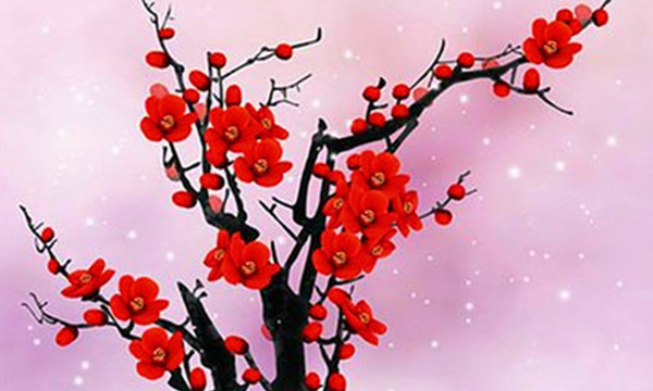 梅花易数卜卦速成