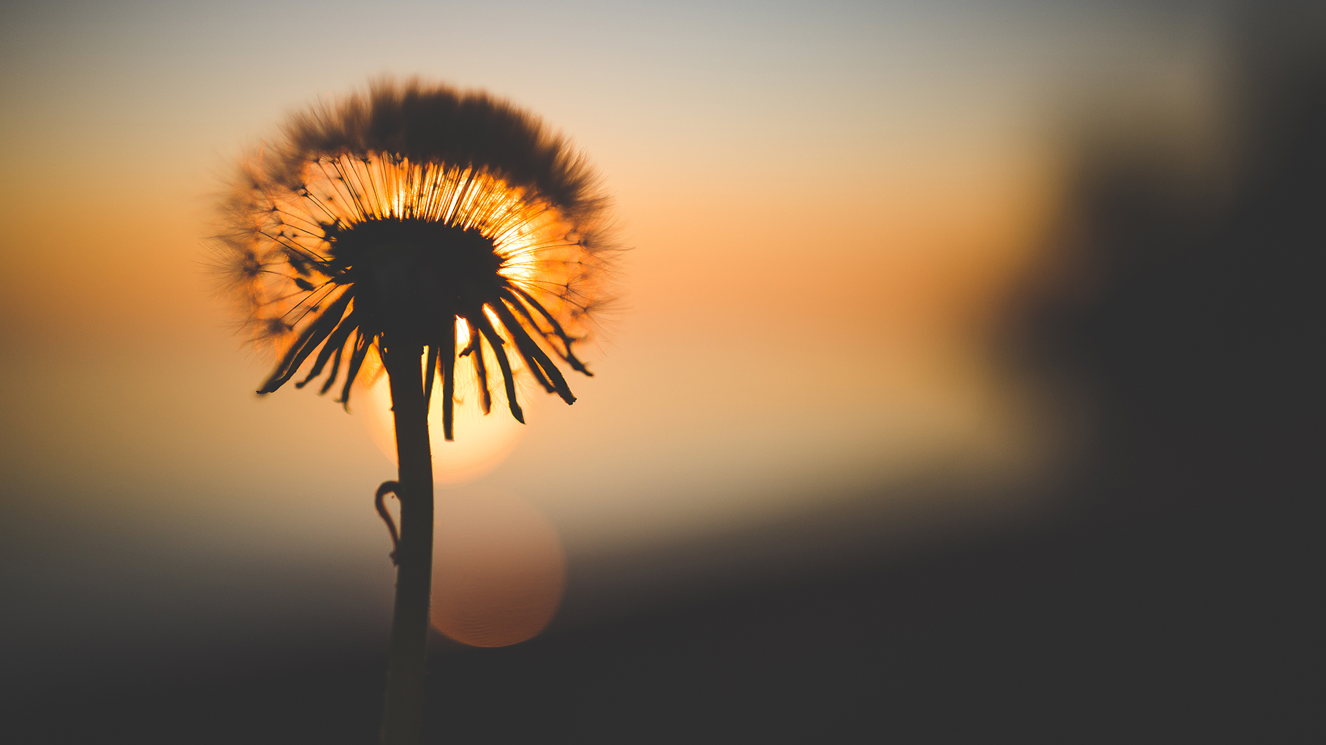 《易经》64卦中的64个惊人智慧