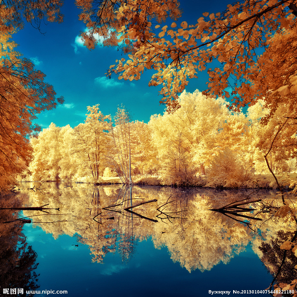 六爻占卜：2019年婚情要稳定的生肖人！