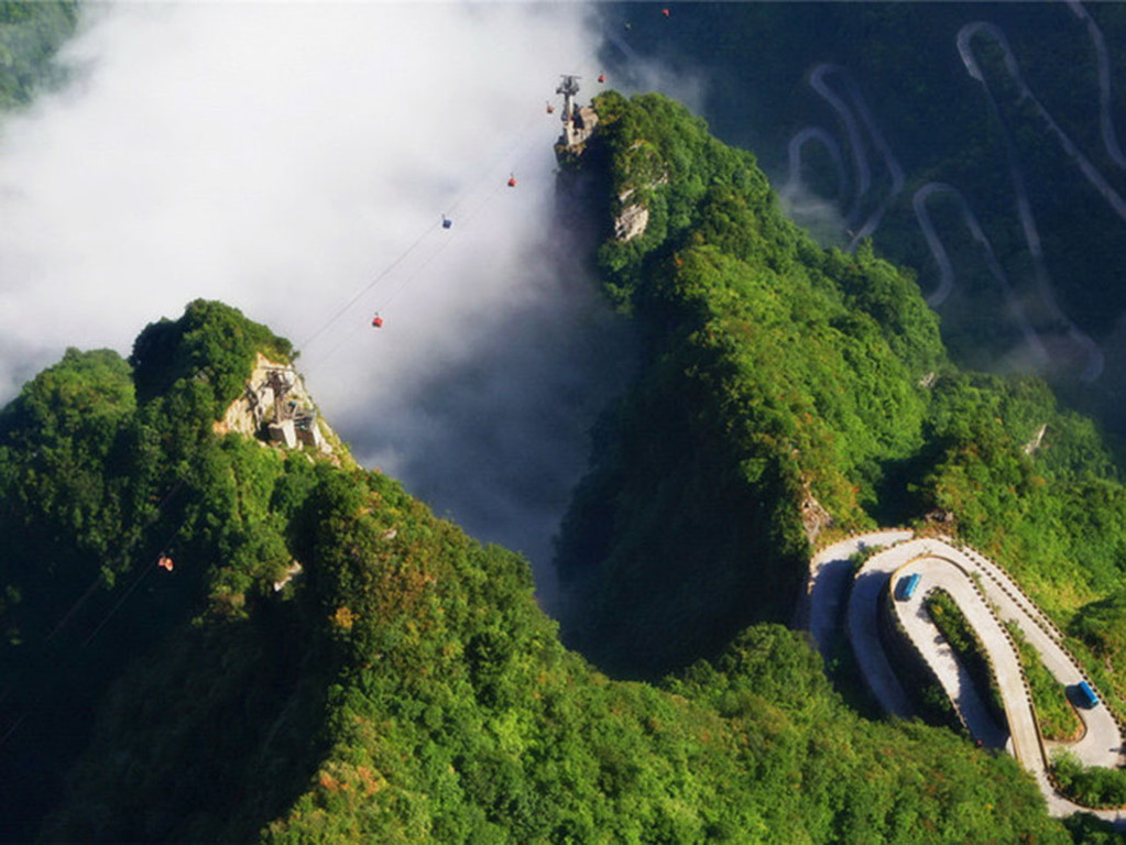 老年痴呆症的10个预测标准