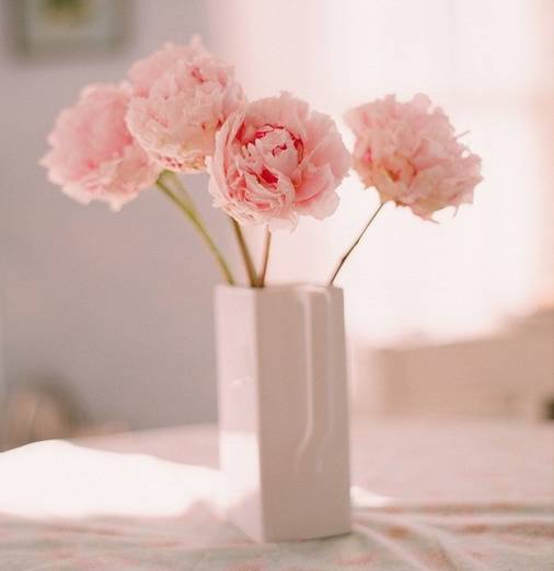 10月最后一周，桃花开，出门邂逅爱情的四大星座