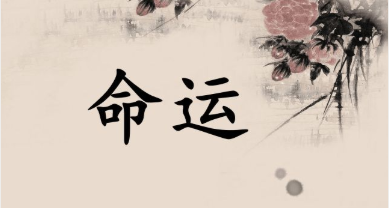 揭露当今社会合法的十大骗局