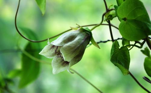 六爻占卜股票基本方法