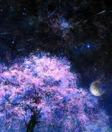 巨蟹座男人出轨指数出轨的原因是什么