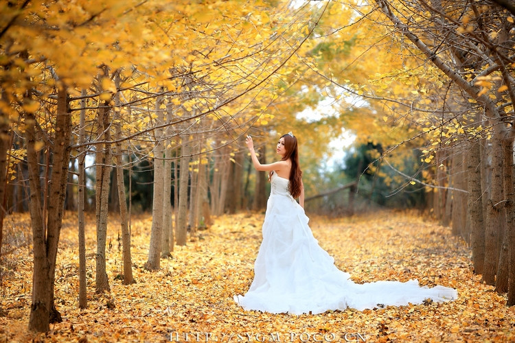 关于朋友间的领悟，测一测你的人缘的好不好