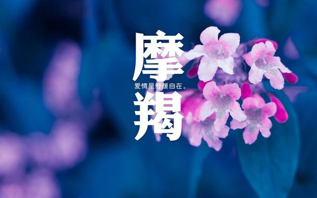 天蝎座在职场中乘风破浪靠的是什么？