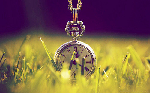 十二星座谁最物质