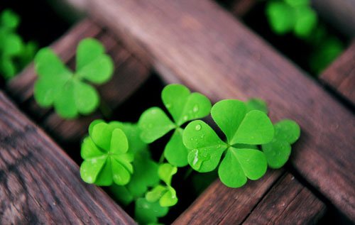 六爻断卦-婚姻占