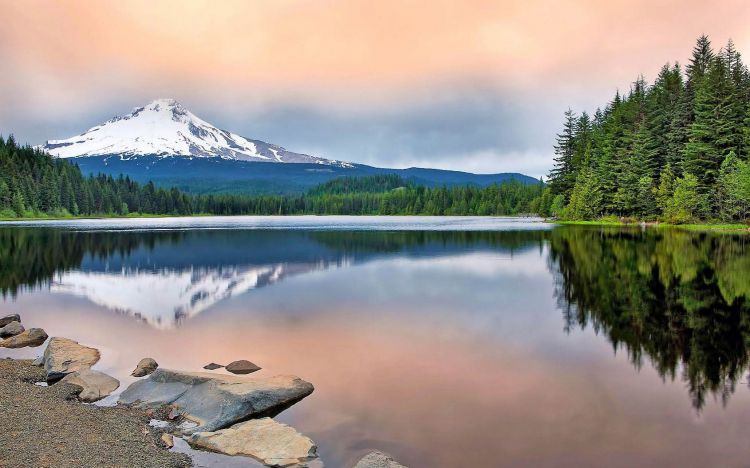 每一人都有不同于别人的人生境遇，福从哪里来呢？