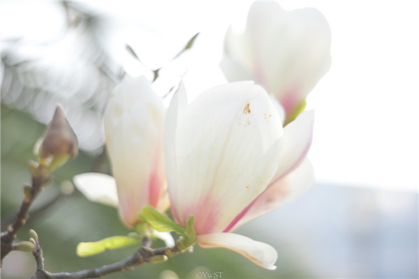 缺乏维生素会得什么病？儿童缺乏维生素怎么补？