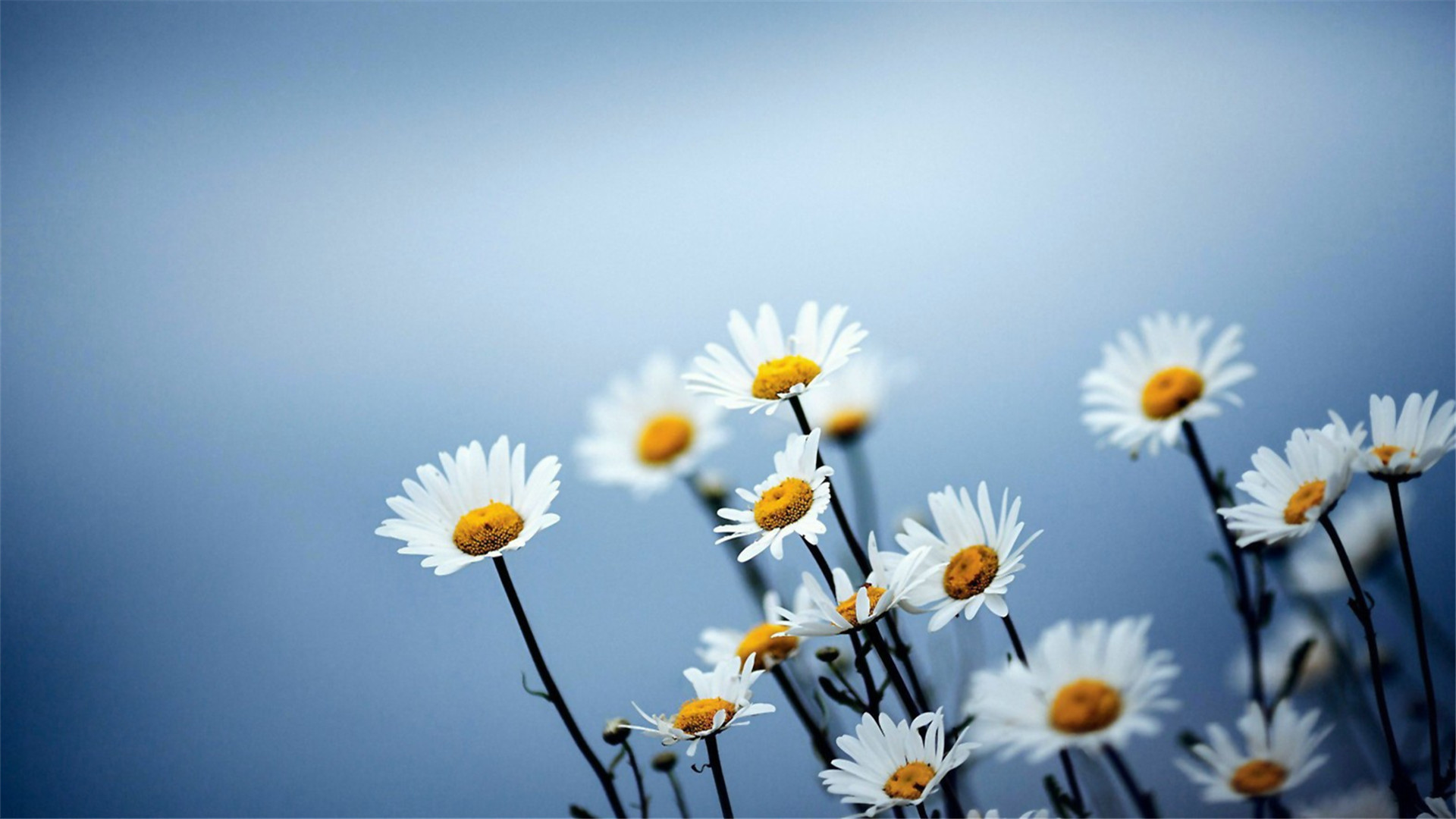 添丁生子的卧室风水