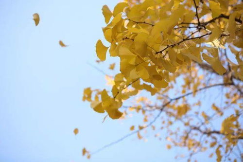 揭秘阳宅风水中八十相煞