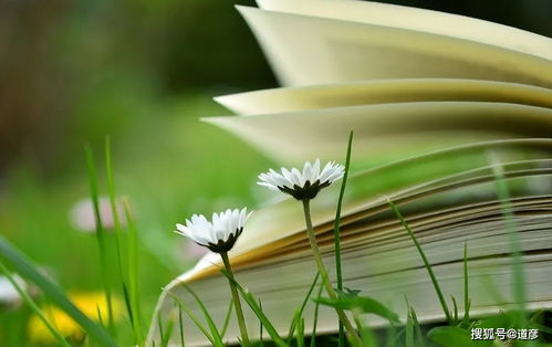 2020年12月2日水瓶座魔蝎座今日运势