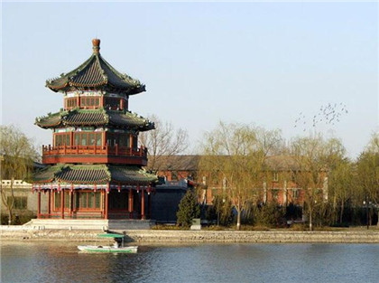 职场上是“弱肉强食”，哪些星座容易成为职场的替罪羊呢？