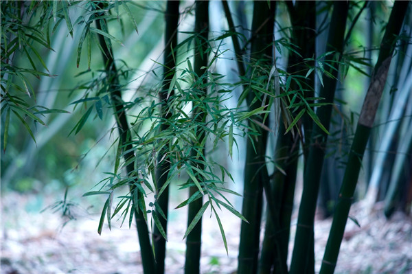 励志谚语关于勤奋、时间、朋友的古谚语