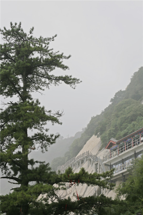 从紫微斗数运势分析你适合什么样的创业模式