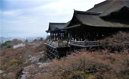 国学经典先秦名著诗经【淇奥】原文及解析