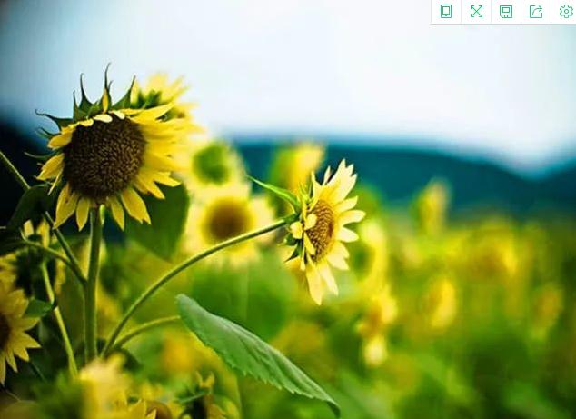 民谚俗语：他人睍睍，不涉你目;他人碌碌，不涉你足