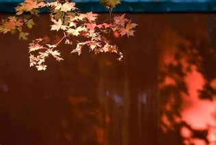 阴宅风水布局的基本原则是什么？