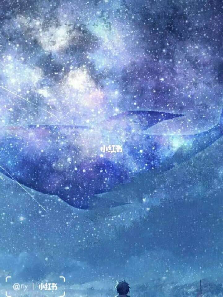 2020年12月17日天枰座处女座今日运势