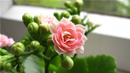 古人智慧 做人最高的境界是什么？