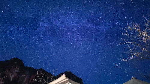 2020年12月20日天平座处女座今日运势