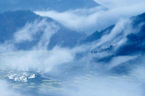 12星座2020年12月21日到12月27日一周运势查看