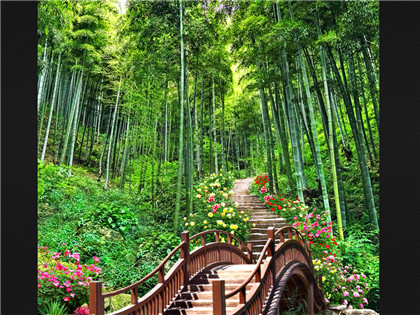 国学经典先秦名著诗经【伐檀】原文及解析