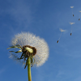 2020年12月23日水瓶座魔蝎座今日运势